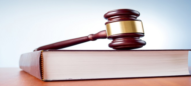 Conselho avalia edital do SEBRAE-RS e propõem ajustes a fim de observância à Lei do Administrador nº